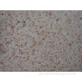 /msite/products/detail/productid/58837969/id/684653.html